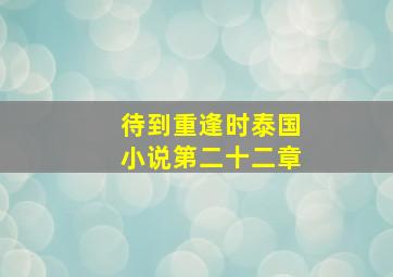 待到重逢时泰国小说第二十二章