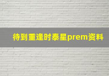 待到重逢时泰星prem资料