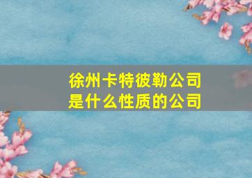 徐州卡特彼勒公司是什么性质的公司