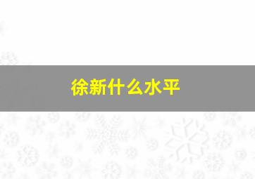 徐新什么水平