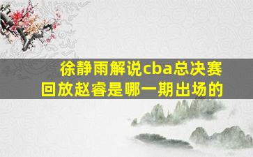 徐静雨解说cba总决赛回放赵睿是哪一期出场的