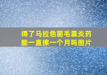 得了马拉色菌毛囊炎药能一直擦一个月吗图片