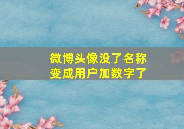 微博头像没了名称变成用户加数字了