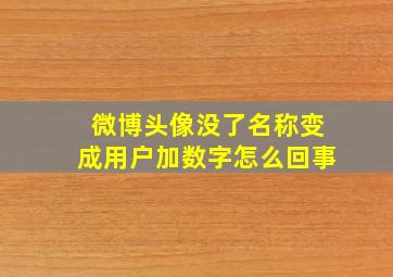 微博头像没了名称变成用户加数字怎么回事