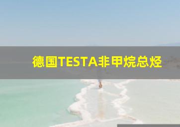 德国TESTA非甲烷总烃