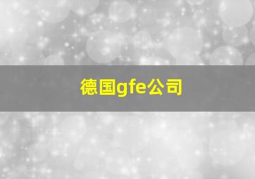 德国gfe公司