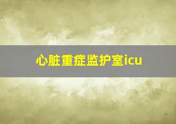 心脏重症监护室icu