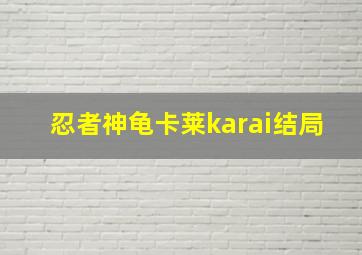 忍者神龟卡莱karai结局