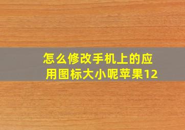 怎么修改手机上的应用图标大小呢苹果12