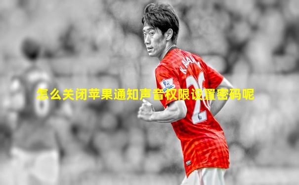 怎么关闭苹果通知声音权限设置密码呢