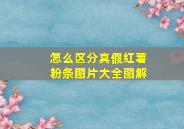 怎么区分真假红薯粉条图片大全图解