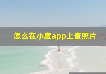 怎么在小度app上查照片