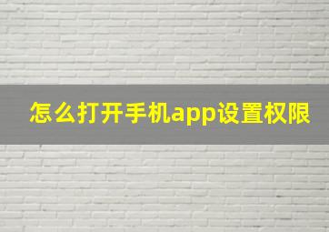 怎么打开手机app设置权限