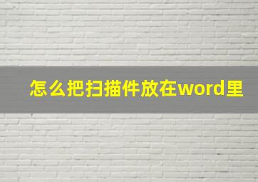 怎么把扫描件放在word里