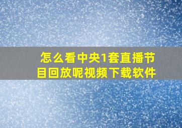 怎么看中央1套直播节目回放呢视频下载软件