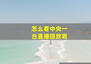 怎么看中央一台直播回放呢