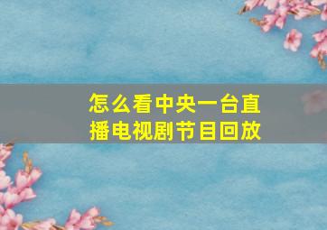 怎么看中央一台直播电视剧节目回放