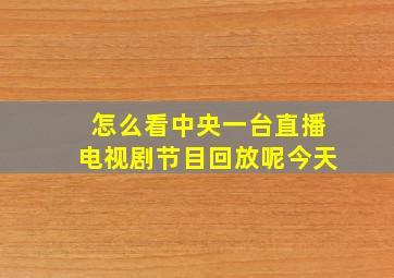 怎么看中央一台直播电视剧节目回放呢今天