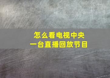 怎么看电视中央一台直播回放节目