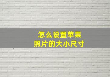 怎么设置苹果照片的大小尺寸