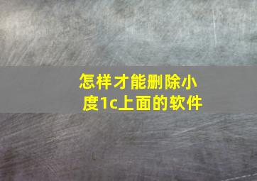 怎样才能删除小度1c上面的软件