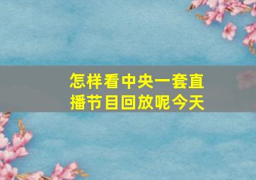 怎样看中央一套直播节目回放呢今天