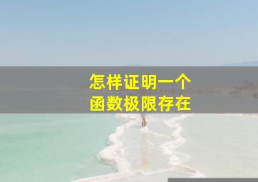 怎样证明一个函数极限存在