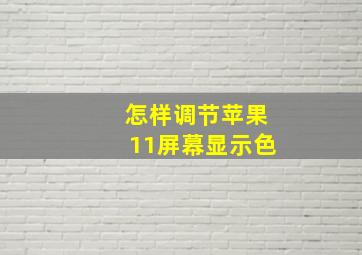 怎样调节苹果11屏幕显示色