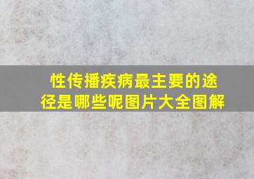 性传播疾病最主要的途径是哪些呢图片大全图解