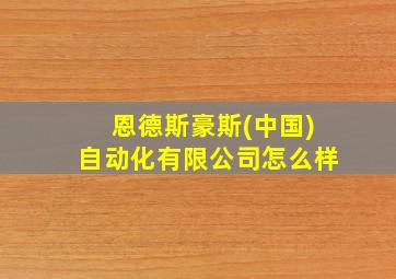 恩德斯豪斯(中国)自动化有限公司怎么样