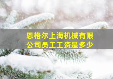 恩格尔上海机械有限公司员工工资是多少