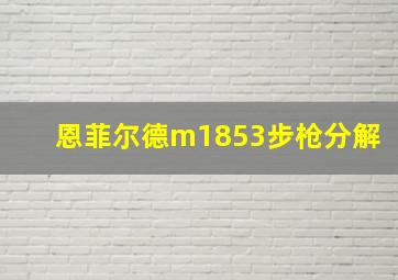 恩菲尔德m1853步枪分解