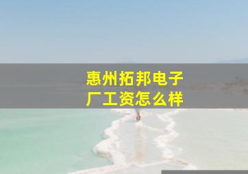 惠州拓邦电子厂工资怎么样