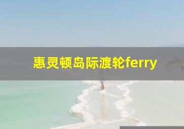 惠灵顿岛际渡轮ferry