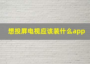 想投屏电视应该装什么app