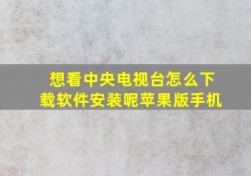 想看中央电视台怎么下载软件安装呢苹果版手机