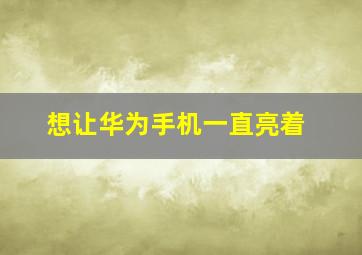 想让华为手机一直亮着