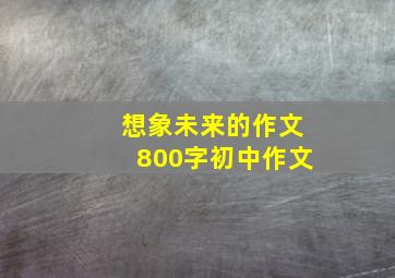 想象未来的作文800字初中作文