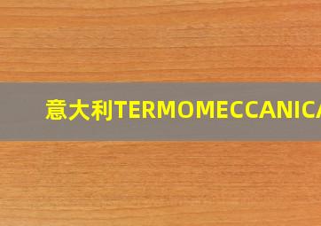 意大利TERMOMECCANICA集团