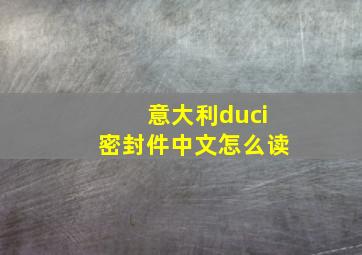 意大利duci密封件中文怎么读