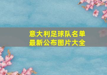 意大利足球队名单最新公布图片大全