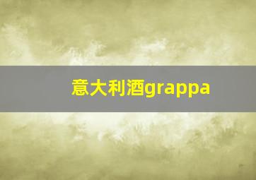 意大利酒grappa