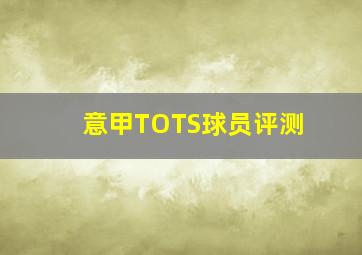 意甲TOTS球员评测