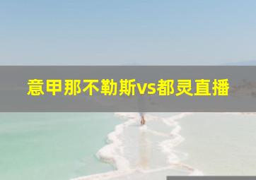 意甲那不勒斯vs都灵直播