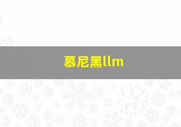 慕尼黑llm