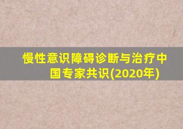 慢性意识障碍诊断与治疗中国专家共识(2020年)