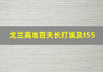 戈兰高地百夫长打埃及t55