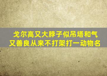 戈尔高又大脖子似吊塔和气又善良从来不打架打一动物名