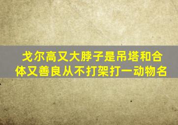 戈尔高又大脖子是吊塔和合体又善良从不打架打一动物名