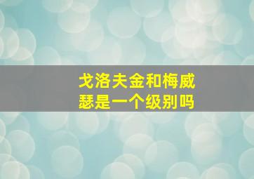 戈洛夫金和梅威瑟是一个级别吗